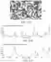 Fig. 20 - MACHINE-LEARNING BASED BIOSENSOR SYSTEM