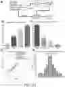 Fig. 30 - MACHINE-LEARNING BASED BIOSENSOR SYSTEM