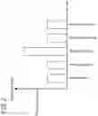 Fig. 04 - Psychological condition estimation system, psychological condition estimation method, program, and method for generating estimation model