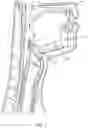 Fig. 12 - TRANSMEMBRANE SENSOR TO EVALUATE NEUROMUSCULAR FUNCTION