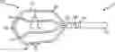 Fig. 01 - SYSTEM AND METHOD FOR SORTING ELECTROPHYSIOLOGICAL SIGNALS ON VIRTUAL CATHETERS