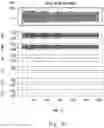 Fig. 23 - AUTONOMIC NERVE INDEX CALCULATION SYSTEM, AUTONOMIC NERVE INDEX CALCULATION METHOD, AND AUTONOMIC NERVE INDEX CALCULATION PROGRAM