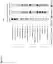 Fig. 18 - Systems, devices and methods for dextrous hand function assessment and therapy