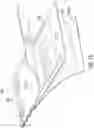 Fig. 15 - TECHNIQUES FOR DETERMINING A HEALING STATUS OF AN ANATOMICAL STRUCTURE