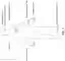 Fig. 08 - MULTIPLE PARTIALLY REDUNDANT BIOMETRIC SENSING DEVICES