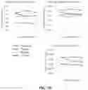 Fig. 13 - MICROBIAL COLLECTION FORMULATIONS, DEVICES AND SYSTEMS