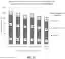 Fig. 29 - MICROBIAL COLLECTION FORMULATIONS, DEVICES AND SYSTEMS