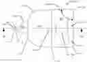 Fig. 01 - EVERSION TOOL AND SIZE GUIDE FOR PERFORMING ARTERIAL MICROVASCULAR ANASTOMOSIS
