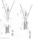 Fig. 08 - Method for treating vascular occlusion
