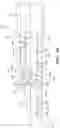 Fig. 17 - Needle assembly with reverberation features to facilitate ultrasound guidance