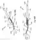 Fig. 81 - SURGICAL INSTRUMENT FOR A SUBCUTANEOUS DEVICE