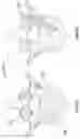 Fig. 08 - COMPOSITE MATERIAL SPINAL IMPLANT