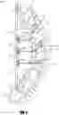 Fig. 02 - Medical device and method to correct deformity