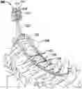 Fig. 01 - Occipital plate systems