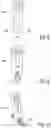 Fig. 05 - Intramedullary implant and method of use
