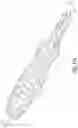 Fig. 06 - Intramedullary implant and method of use