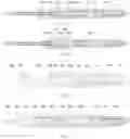 Fig. 06 - Adjustable cryoablation needle
