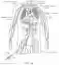 Fig. 04 - CATHETER APPARATUSES FOR MODULATION OF NERVES IN COMMUNICATION WITH THE PULMONARY SYSTEM AND ASSOCIATED SYSTEMS AND METHODS