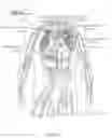 Fig. 07 - CATHETER APPARATUSES FOR MODULATION OF NERVES IN COMMUNICATION WITH THE PULMONARY SYSTEM AND ASSOCIATED SYSTEMS AND METHODS