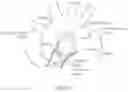 Fig. 08 - CATHETER APPARATUSES FOR MODULATION OF NERVES IN COMMUNICATION WITH THE PULMONARY SYSTEM AND ASSOCIATED SYSTEMS AND METHODS