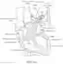 Fig. 11 - CATHETER APPARATUSES FOR MODULATION OF NERVES IN COMMUNICATION WITH THE PULMONARY SYSTEM AND ASSOCIATED SYSTEMS AND METHODS