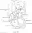 Fig. 12 - CATHETER APPARATUSES FOR MODULATION OF NERVES IN COMMUNICATION WITH THE PULMONARY SYSTEM AND ASSOCIATED SYSTEMS AND METHODS