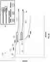 Fig. 13 - DEVICES SYSTEMS AND METHODS FOR CORONARY INTERVENTION ASSESSMENT, PLANNING, AND TREATMENT BASED ON DESIRED OUTCOME