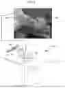 Fig. 02 - Method of registering an imaging scan with a coordinate system and associated systems