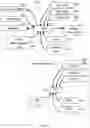 Fig. 04 - Augmented Reality Assisted Surgical Workflow Navigation