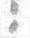 Fig. 36 - Augmented Reality Assisted Surgical Workflow Navigation