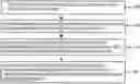 Fig. 01 - DETERMINATION OF AT LEAST ONE SUITABLE REMOVABLE ORTHODONTIC APPLIANCE