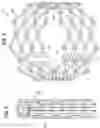 Fig. 04 - PROSTHETIC HEART VALVE HAVING AT LEAST TWO TYPES OF STRUTS