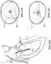 Fig. 102 - CARDIAC VALVE REPAIR DEVICES AND ASSOCIATED SYSTEMS AND METHODS