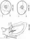 Fig. 103 - CARDIAC VALVE REPAIR DEVICES AND ASSOCIATED SYSTEMS AND METHODS