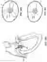 Fig. 104 - CARDIAC VALVE REPAIR DEVICES AND ASSOCIATED SYSTEMS AND METHODS
