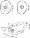 Fig. 110 - CARDIAC VALVE REPAIR DEVICES AND ASSOCIATED SYSTEMS AND METHODS