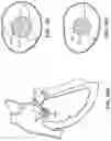 Fig. 76 - CARDIAC VALVE REPAIR DEVICES AND ASSOCIATED SYSTEMS AND METHODS