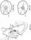 Fig. 99 - CARDIAC VALVE REPAIR DEVICES AND ASSOCIATED SYSTEMS AND METHODS