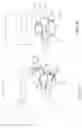 Fig. 03 - PATIENT-SPECIFIC VERTEBRAL IMPLANTS WITH POSITIONING FEATURES