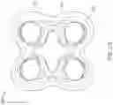 Fig. 41 - Cervical plate and inserter