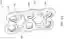 Fig. 47 - Cervical plate and inserter