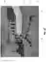 Fig. 12 - HIGH DENSITY DISTANCE SENSOR ARRAY ALTERNATIVE TO SURFACE ELECTROMYOGRAPHY FOR THE CONTROL OF POWERED UPPER LIMB PROSTHESES