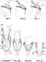 Fig. 02 - MEDICAL DEVICE RELEASE APPARATUS, SYSTEM AND METHOD OF USE