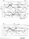 Fig. 16 - AORTIC PROSTHESIS DELIVERY SYSTEM AND METHOD OF USE