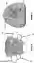 Fig. 05 - ORTHODONTIC/ORTHOPAEDIC DEVICE AND METHOD