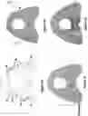 Fig. 08 - ORTHODONTIC/ORTHOPAEDIC DEVICE AND METHOD