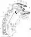 Fig. 02 - Sexual stimulation device