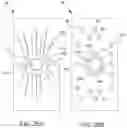 Fig. 30 - Systems, methods, and apparatuses for producing and packaging fluids