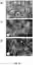 Fig. 08 - PARTICULATE AMORPHOUS MESOPOROUS MAGNESIUM CARBONATE MATERIAL