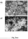 Fig. 10 - PARTICULATE AMORPHOUS MESOPOROUS MAGNESIUM CARBONATE MATERIAL